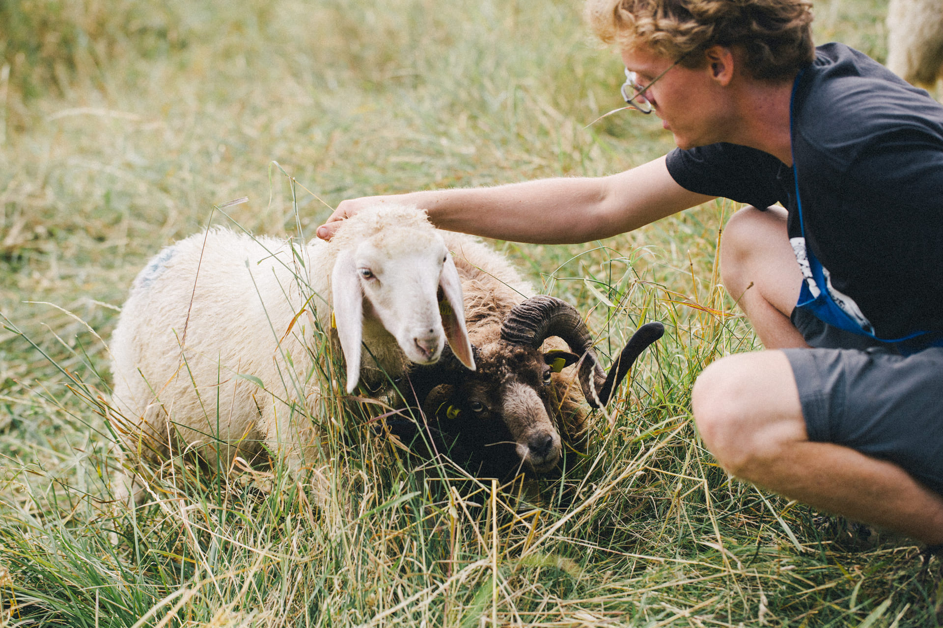 Allevamento