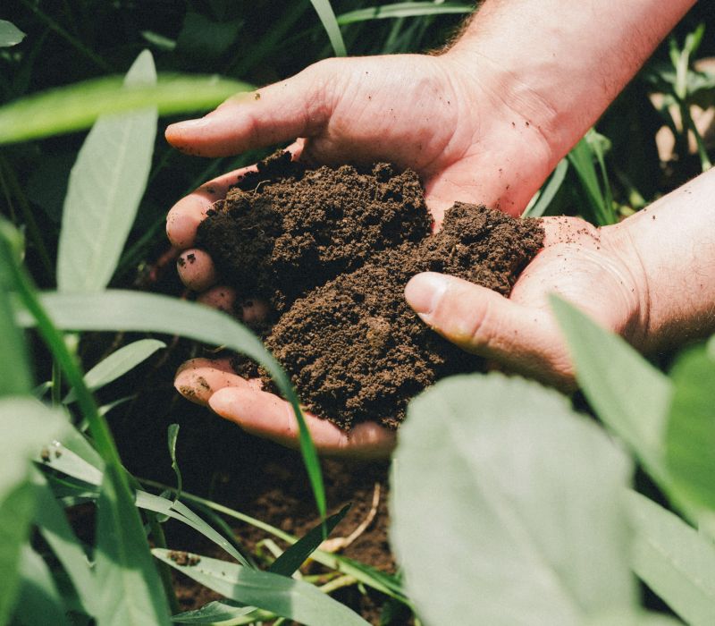 Sosteniamo il metodo biodinamico, per il bene di tutti